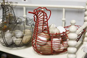 New York City Prints: Chicken-shaped metal baskets holding rocks