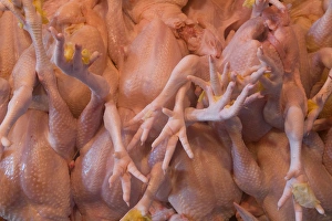 Images Dated 3rd April 2007: Chickens in market, Kuala Lumpur, Malaysia