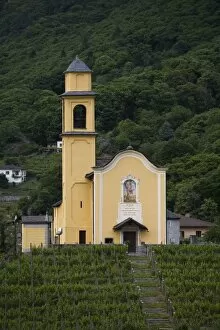 Chiesa San Sebastiano, vineyard, Bellinzona, Ticino, Switzerland