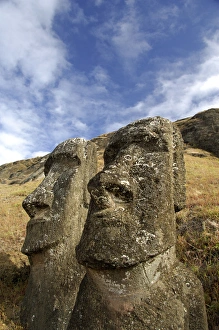 Images Dated 14th May 2008: Chile, Easter Island (aka Rapa Nui). Rano Raraku, the main rock quarry for the great