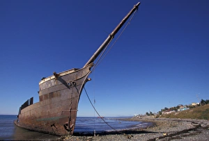Punta Arenas Prints: Chile, Magellanes. Shipwreck of the SS Lonsdale, Port Area. Punta Arenas