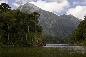 Lookout Prints: Chile. South America. Lago El Toro and Cerro San Sabastian. Huerquehue National Park