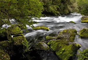 Andes Prints: Chile. South America. Rio Caburgua (also know as Rio Desage). Araucania Region of Chile
