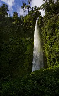 Cascades Prints: Chile. South America. Salto La China in Rio Palgun Valley. Araucania Region of Chile