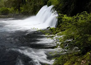 Images Dated 20th March 2010: Chile. South America. Waterfalls at Ojos del Caburga (or Ojos del Caburgua)