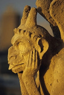Images Dated 9th October 2008: Chimera, Notre Dame Cathedral, Paris, France