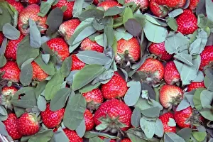 Street Market Prints: China, Chongqing. Strawberries for sale in local street market in the city of Chongqing