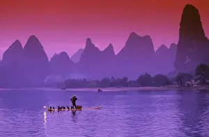 Cormorant Prints: China, Guanxi. Li river single cormorant fisherman Li river. Xialong