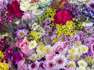 Historic District Prints: China, Hong Kong. Flower market