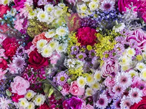 Images Dated 4th April 2022: China, Hong Kong. Flower market