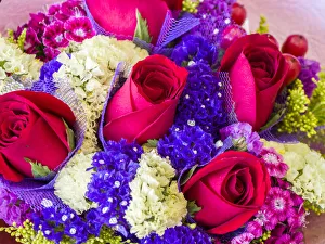 Images Dated 4th April 2022: China, Hong Kong. Flower market