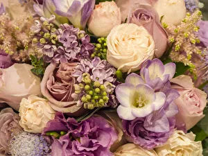 Images Dated 4th April 2022: China, Hong Kong. Flower market
