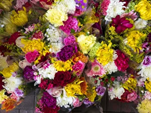 Images Dated 4th January 2021: China, Hong Kong. Flower market on the street