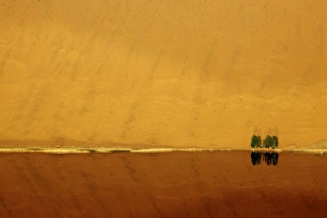 China, Inner Mongolia, Badan Jilin Desert. Dune and trees reflected in lake. Credit as