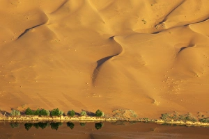 Images Dated 2nd May 2013: China, Inner Mongolia, Badan Jilin Desert. Dune and trees reflected in lake. Credit as