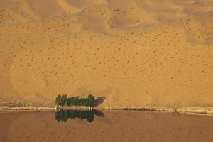 Images Dated 2nd May 2013: China, Inner Mongolia, Badan Jilin Desert. Dune and trees reflected in lake. Credit as