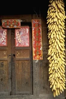 Sichuan Province Gallery: China, Sichuan Province. Dried corn hangs by the doorway of a farm house-Wolong reserve