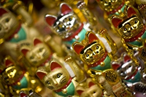 Images Dated 9th November 2006: Chinese cats