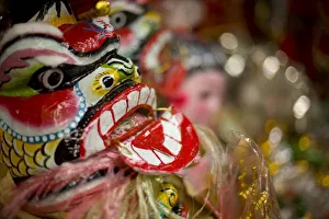 Images Dated 9th November 2006: Chinese Dragon head