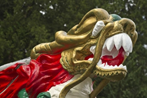 Stanley Park Prints: Chinese dragonboat figurehead, Stanley Park, Vancouver, British Columbia, Canada
