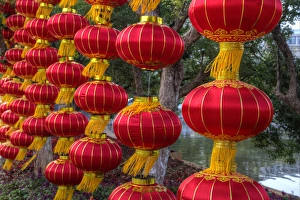 Kunming Prints: Chinese Lanterns along the walkway Greenlake, Kunming China