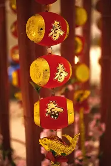 Fish Prints: Chinese New Year Decorations Beijing China The fish is a smybol of wealth