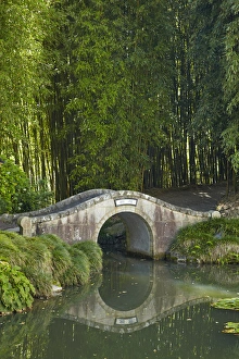 Water Feature Prints: Chinese Scholars Garden, Hamilton Gardens, Hamilton, Waikato, North Island