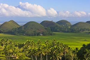 Filipino Prints: Chocolate Hills, Bohol Island, Philippines