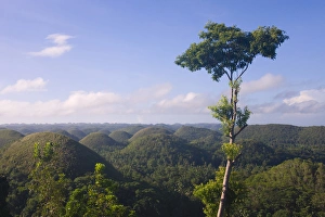 Chocolate Hills of Bohol Island, Philippines