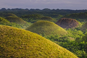 Images Dated 14th April 2012: Chocolate Hills, Bohol, Philippines