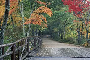 Images Dated 20th April 2004: Chocorua Lake Road. Country Roads. Fall foliage. Tamworth, NH