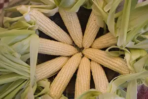 Ripe Prints: Choctaw Indians of Louisianna, Mississippi and Alabama grew sweetcorn as a food staple