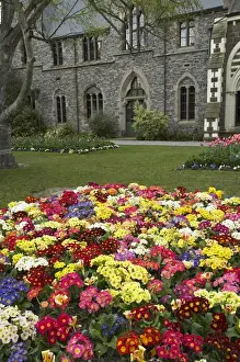 Christchurch Prints: Christchurch Botanic Gardens and Historic Canterbury Museum, Christchurch, Canterbury
