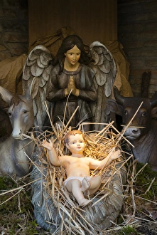 Cute Prints: Christmas Crib at Piazza Duomo, Firenze, Tuscany, Italy