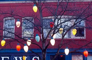 Christmas tree lights; holiday; season; glow; colors; festive; decor; Fremont neighborhood
