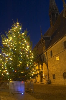 Images Dated 12th December 2005: A chrstmas tree with coloured colored lights in front of the Hotel Dieu Hospices