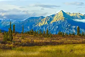 Chugach Prints: Chugach National Forest, Alaska dressed in its autumn colors