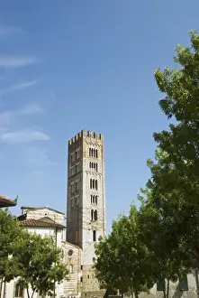 Images Dated 11th February 2010: Church of San Frediano, Lucca, Tuscany, Italy, Europe