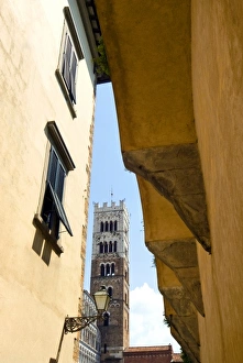 Images Dated 11th February 2010: Church of San Martino, Lucca, Tuscany, Italy, Europe