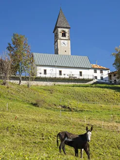 Dolomite Prints: The church. Village Sappade, traditional alpine architecture in valley Val Biois, Italy