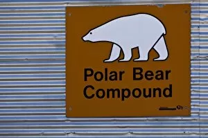 Images Dated 15th August 2008: Churchill, Manitoba. Polar bear hotel