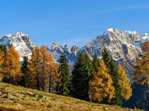 Northern Italy Prints: Cima Brenta and Cima Tosa. View of the Dolomiti di Brenta from Val Rendena in the Parco Naturale Adamello Brenta
