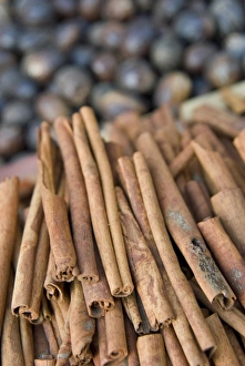 Herb Prints: Cinnamon and Nutmegs, Spice Market, Dubai, United Arab Emirates, Middle East