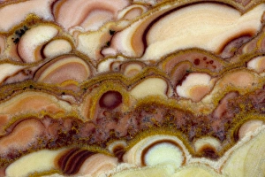 Cream Prints: Circle pattern of Onyx Stone