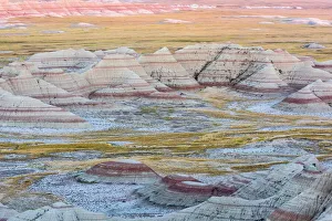 A circular grouping of hoodoo mounds, interspersed with yellow grasses, pinks and red mixed in