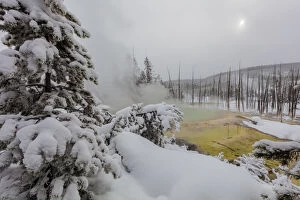 Cistern Spring in the Norris Geyser Basin in winter in Yellowstone National Park