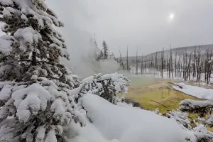 Cistern Spring in the Norris Geyser Basin in winter in Yellowstone National Park Cistern Spring in the Norris Geyser Basin in winter in Yellowstone National Park