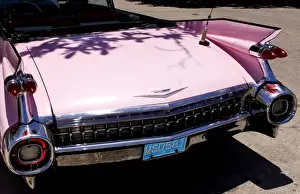 Varadero Prints: Classic 1959 pink Cadillac convertible on road in beautiful Varadero Beach in Valadero