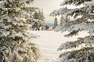 Images Dated 2nd February 2016: Classic red barn and snow scene, Kalispell, Montana