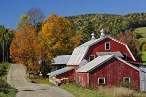 Images Dated 6th October 2007: Classic rural barn and road, White Mountain National Forest, New Hampshire
